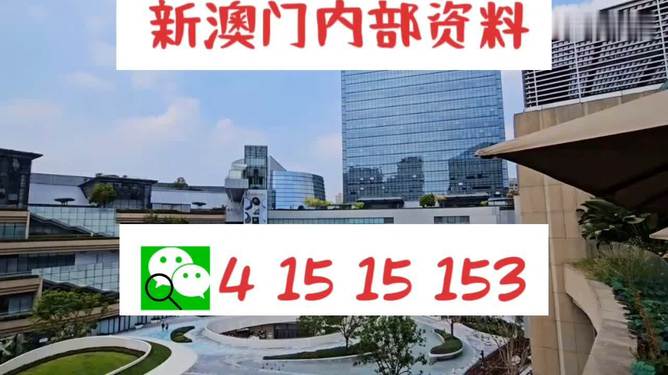 新澳門免費資料大全新牌門，一網(wǎng)打盡最新信息，澳門最新免費資料大匯總，一網(wǎng)打盡新牌門最新信息