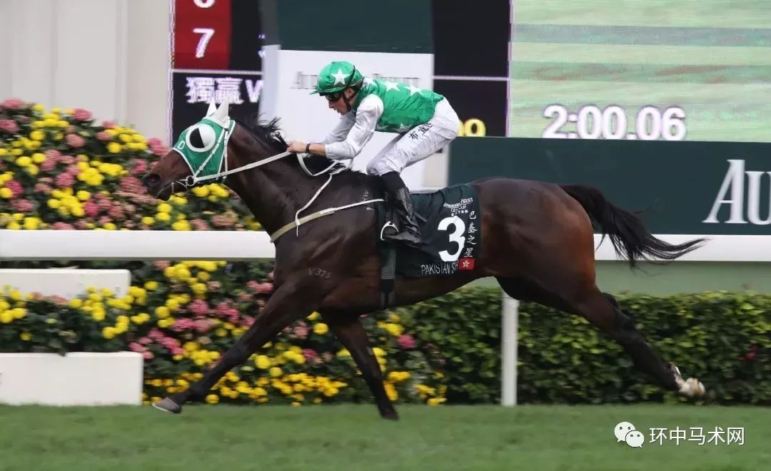 香港今晚開什么特馬，香港今晚特馬開獎結(jié)果