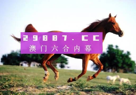 澳門一肖一碼一特一中云騎士，探索與解析，澳門一肖一碼一特一中云騎士，深度探索與解析