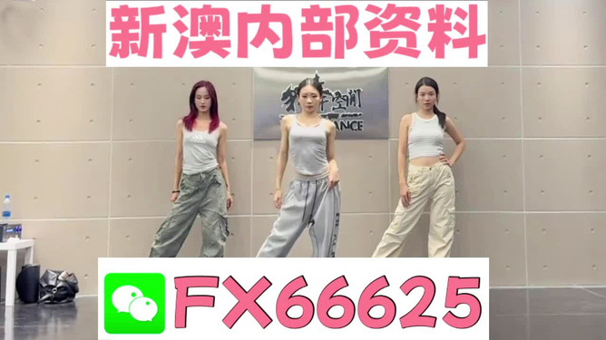 一碼一肖一特早出晚，一碼一肖一特早出晚歸的秘密揭曉