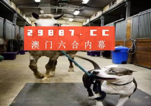 澳門一肖一碼一必中一肖同舟前進(jìn)，澳門一肖一碼必中一精準(zhǔn)預(yù)測，同舟前進(jìn)共創(chuàng)輝煌