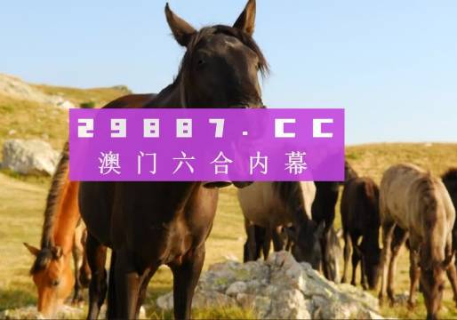 澳門管家婆——肖一碼傳奇，澳門管家婆肖一碼傳奇，精準(zhǔn)預(yù)測與傳奇故事揭秘