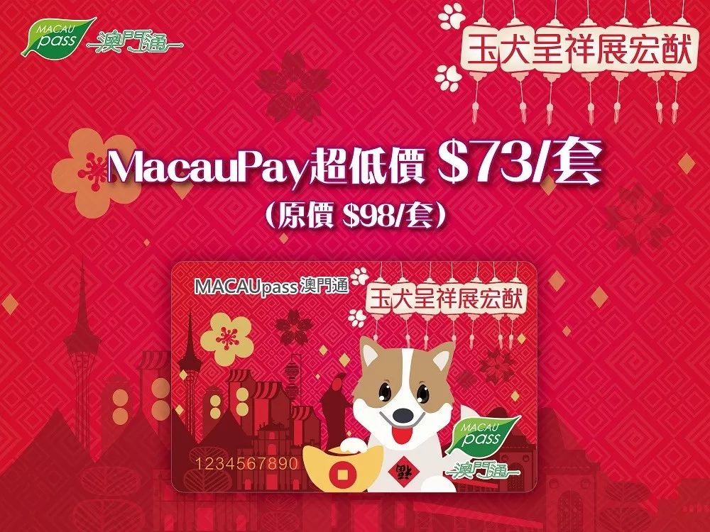 澳門正版資料大全資料生肖卡，澳門正版資料大全，生肖卡全收錄