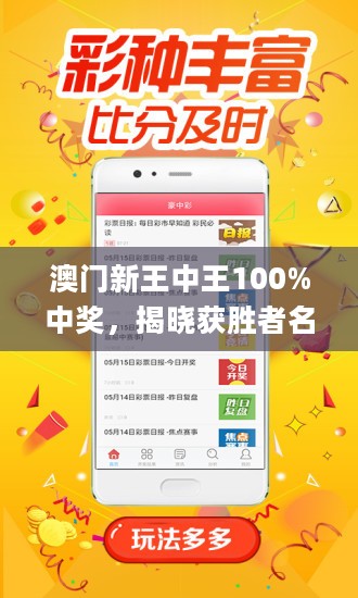 揭秘新澳門王中王，100%期期中背后的奧秘，揭秘新澳門王中王期期中奧秘，真相大揭秘