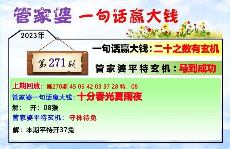 揭秘管家婆一肖一碼，網絡熱詞的背后真相，揭秘管家婆一肖一碼，網絡熱詞背后的真相探究