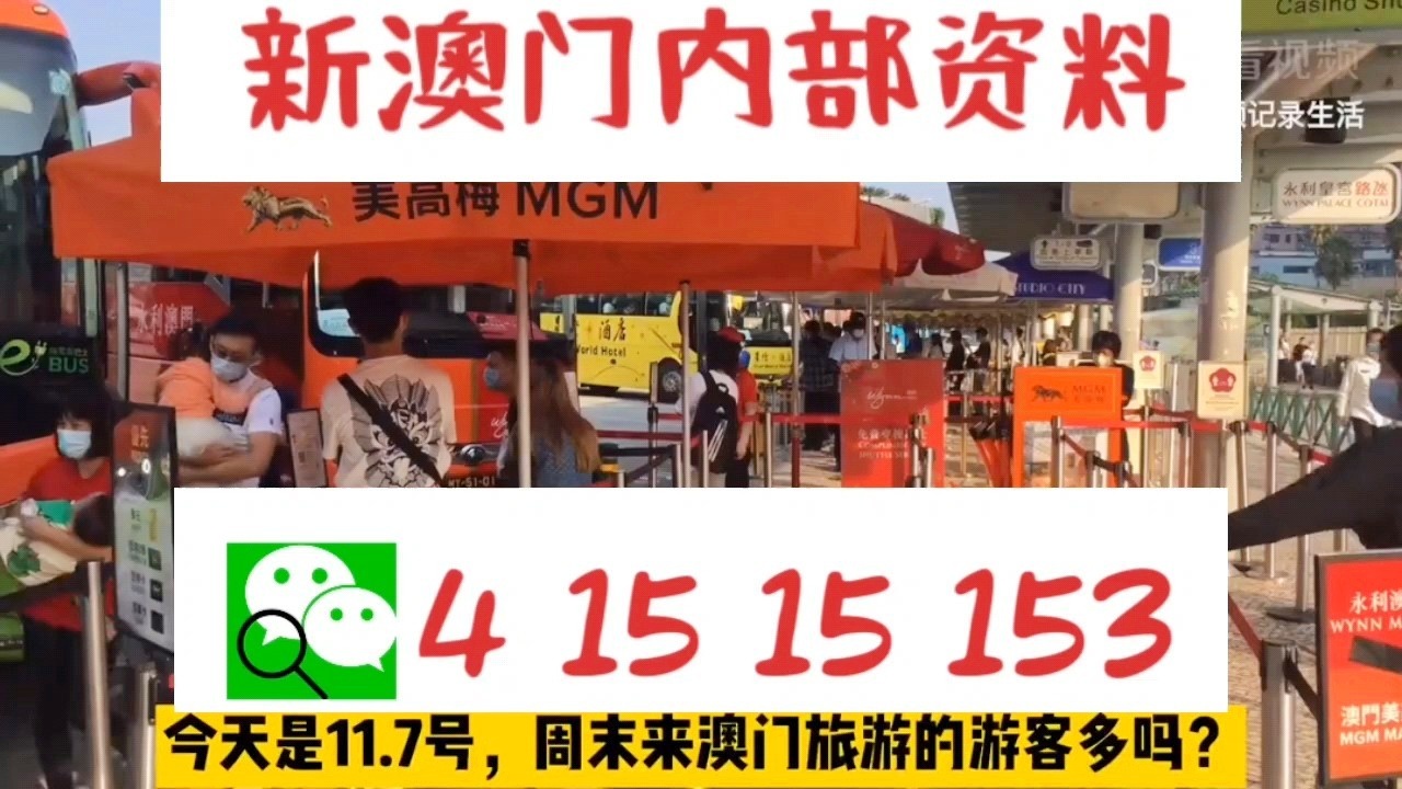 新澳門中特網(wǎng)中特馬，澳門中特馬最新資訊