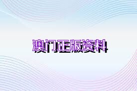 2025年是澳門正版資料大全，澳門正版資料大全 2025年概覽