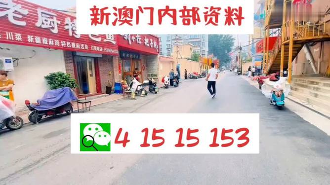 2025澳門天天開好彩大全免費(fèi)，澳門彩票預(yù)測與2025年天天好彩解析