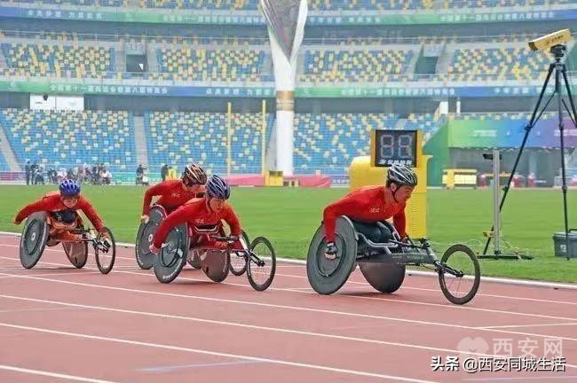 2025新澳門正版免費資本車，澳門正版免費資本車，未來趨勢與機遇