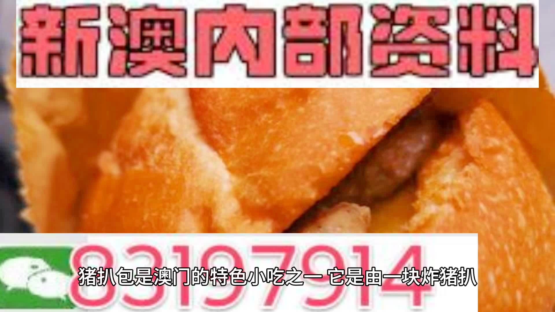 2025新澳精準資料大全，2025新澳精準資料大全手冊