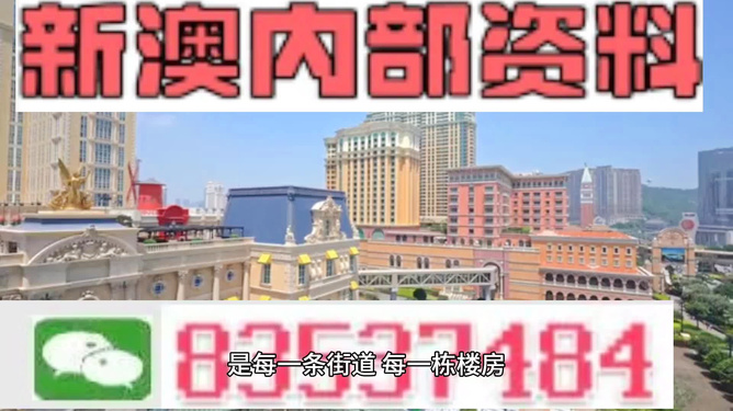 澳門最精準正最精準龍門，揭秘背后的秘密，澳門最精準正龍門背后的秘密揭秘
