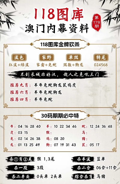 新澳門三碼的魅力與探索，澳門三碼的魅力揭秘與深度探索