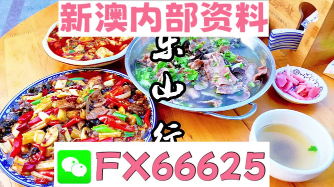 新澳全年免費資料大全，一網打盡各類資源，新澳全年免費資料大全，各類資源一網打盡