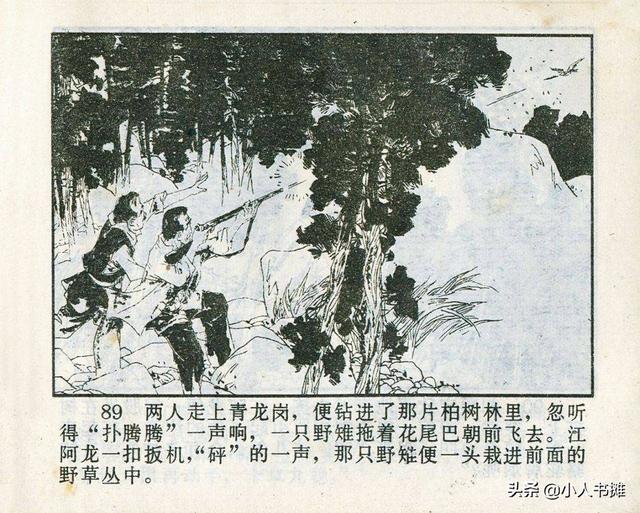 溪門精淮一肖探索之旅，深度解析溪門奧秘，溪門精淮一肖探索之旅，深度揭秘溪門之謎