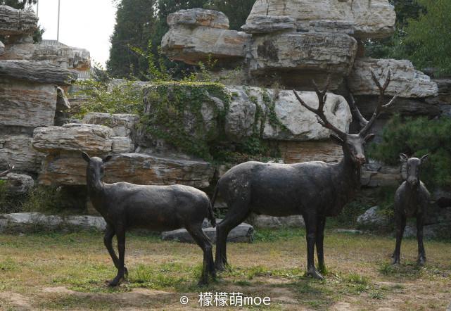 四不像資料免費(fèi)大全，四不像資料大全，免費(fèi)獲取，一網(wǎng)打盡