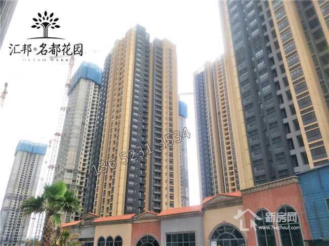 白小姐三期必出一肖種特，白小姐三期預(yù)測，神秘生肖種特揭曉