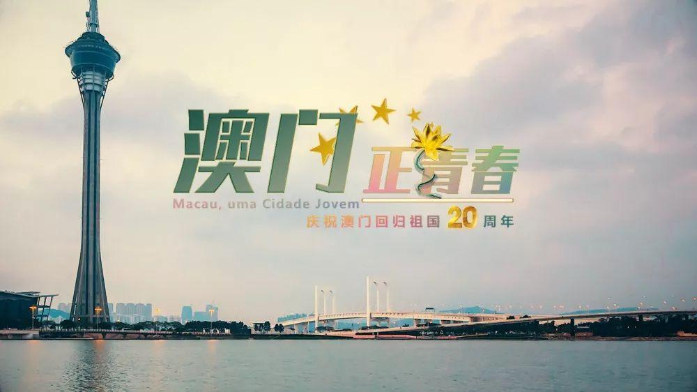 新奧門資料大全正版資料2025年免費下載，澳門正版資料大全2025年免費下載全新版