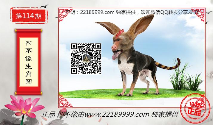 四不像正版資料，四不像正版資料詳解
