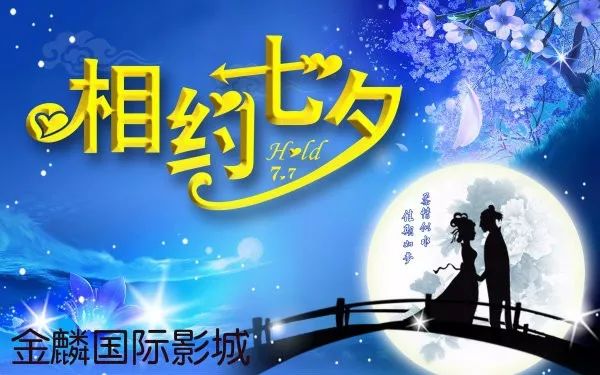 新奧門特免費(fèi)資料大全火鳳凰，新奧門特火鳳凰免費(fèi)資料大全