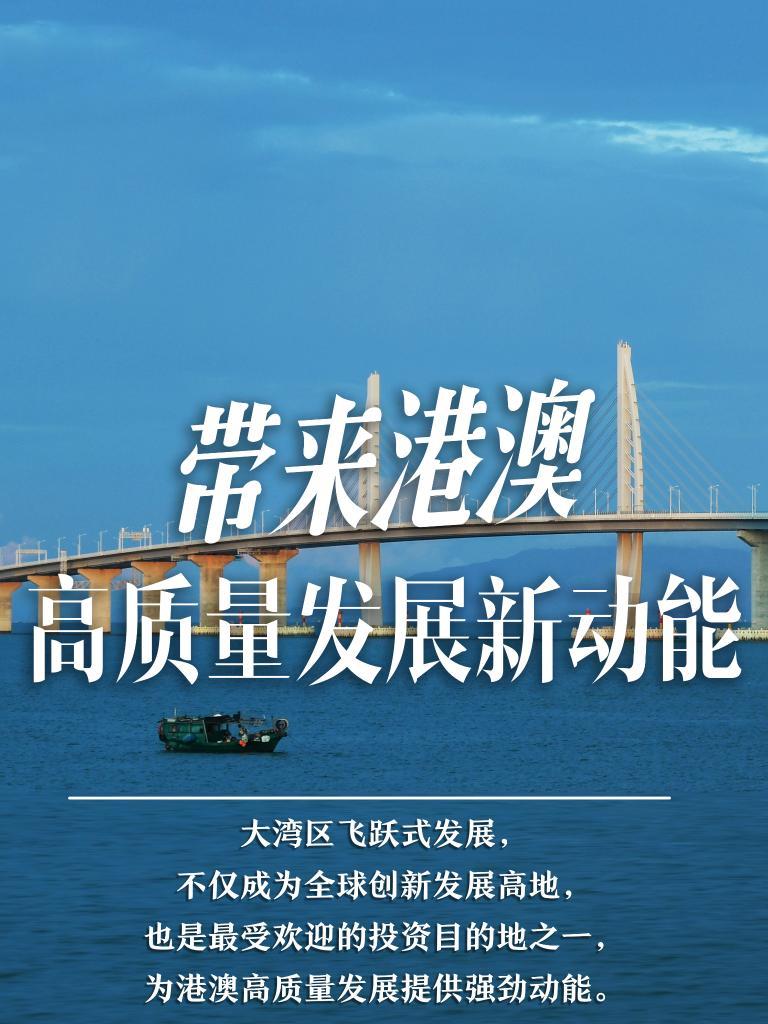 探索未來之門，2025新澳門精準(zhǔn)免費大全，探索未來之門，2025新澳門精準(zhǔn)免費大全概覽