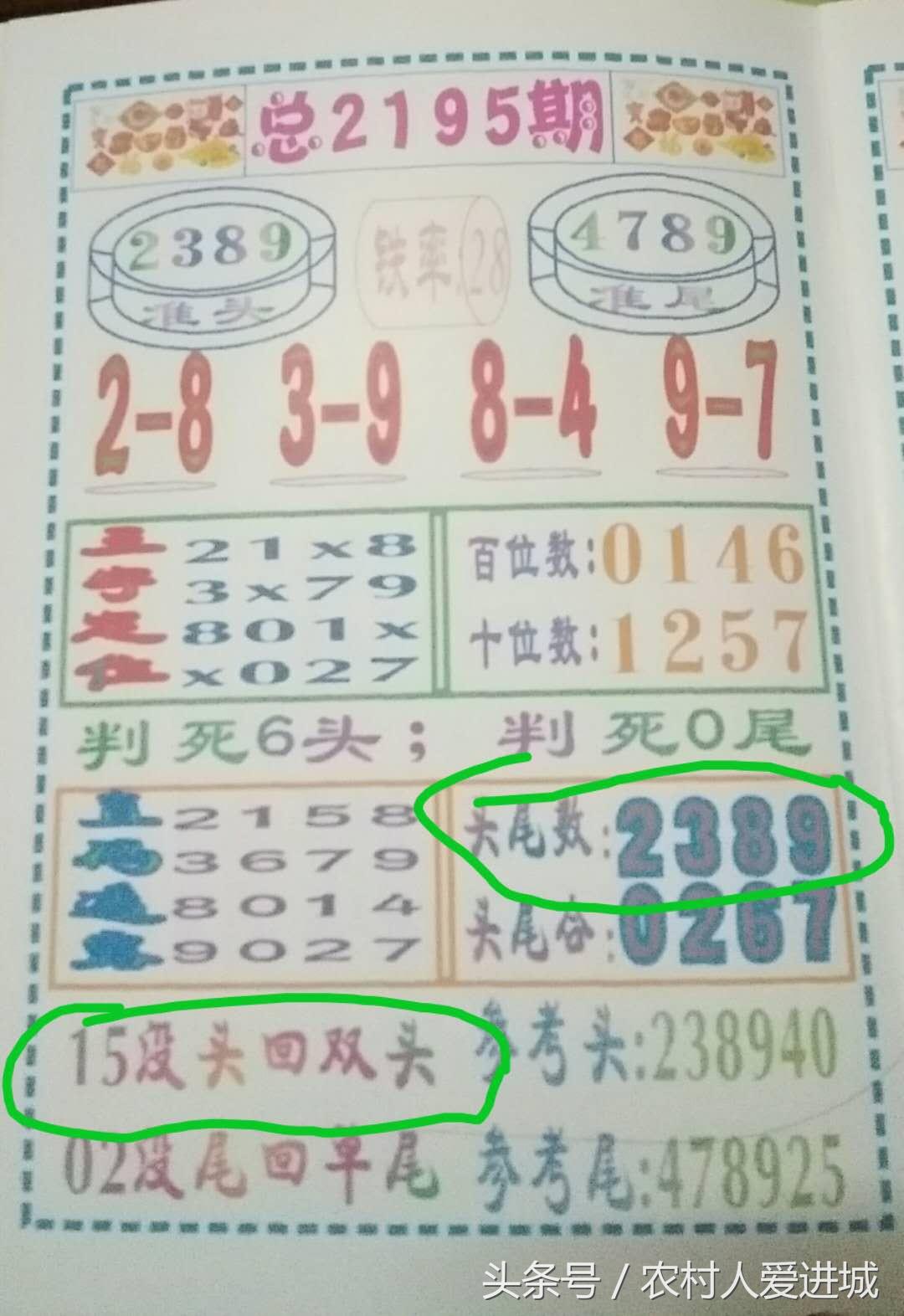 新澳門一肖中，揭秘期期準(zhǔn)的奧秘，揭秘新澳門一肖中，期期準(zhǔn)的奧秘所在