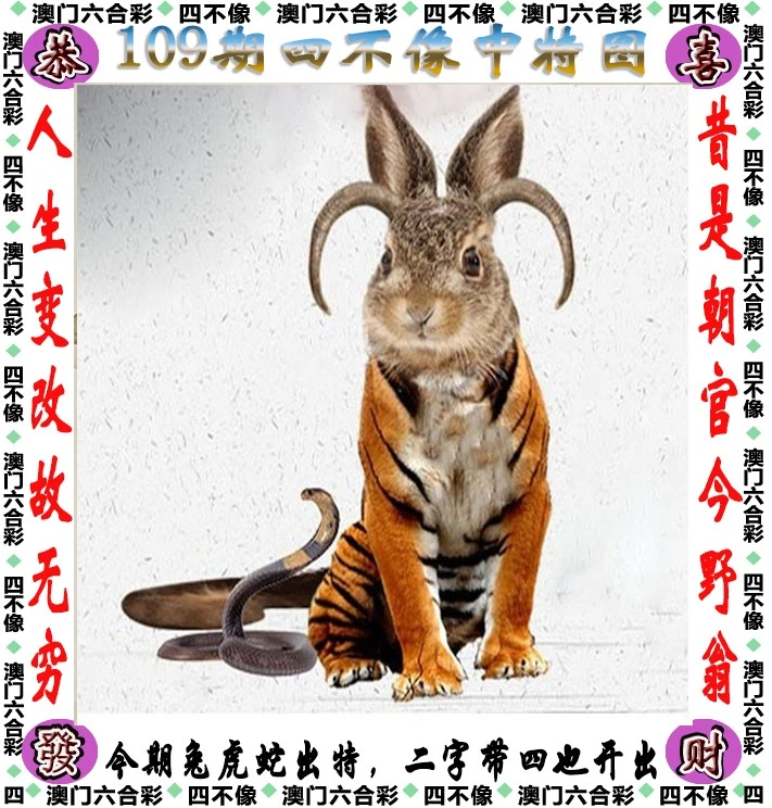 今晚必中一肖一碼四不像，揭秘彩票的神秘面紗，揭秘彩票神秘面紗，今晚必中一肖一碼四不像