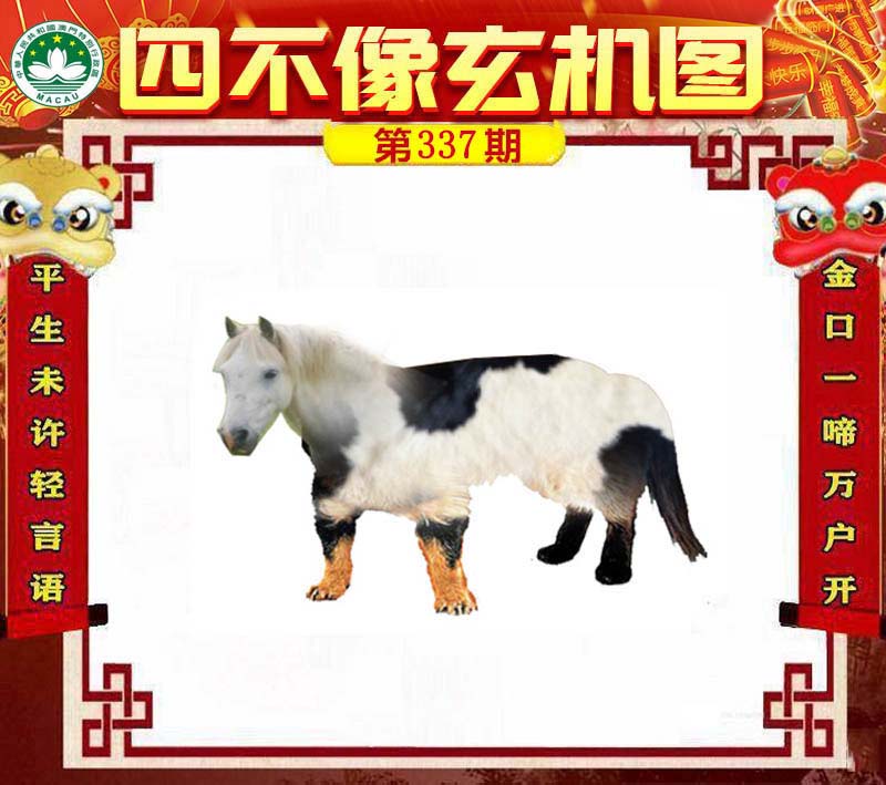 四不像今晚必中一肖，四不像預(yù)測(cè)，今晚必中一肖精選