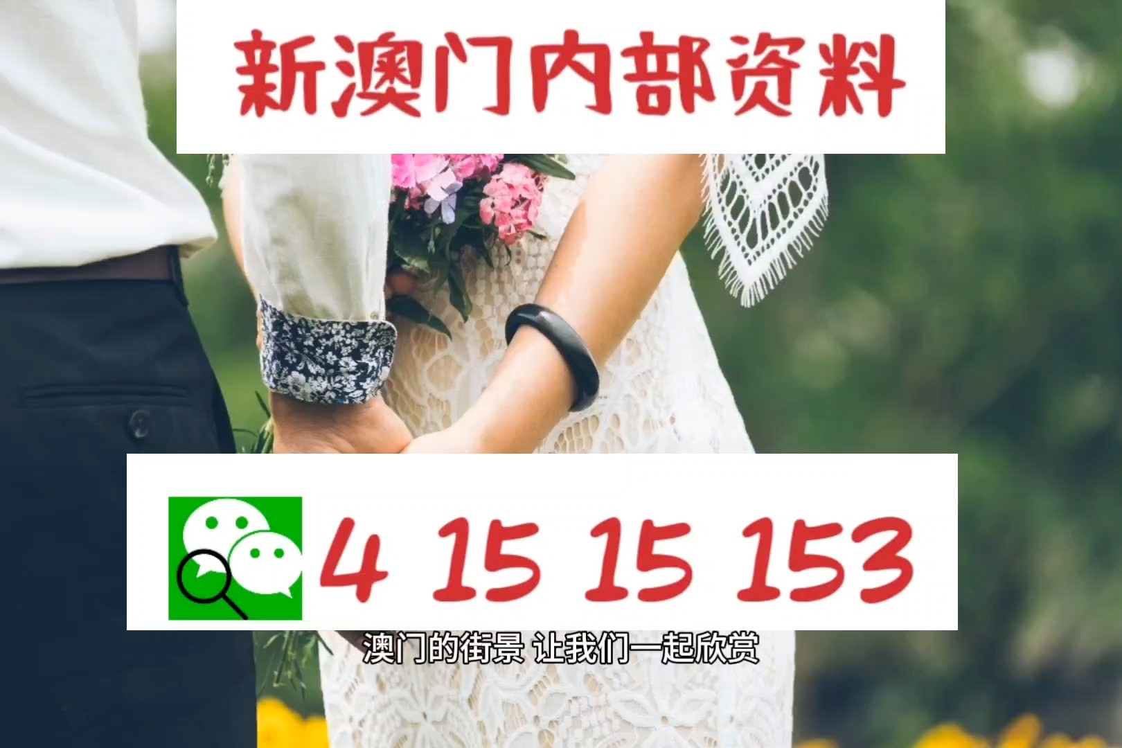 澳門免費精準資料，澳門免費精準資料大揭秘