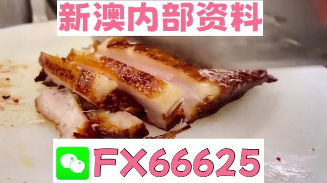 新奧長(zhǎng)期免費(fèi)資料大全，新奧長(zhǎng)期免費(fèi)資料大全匯總
