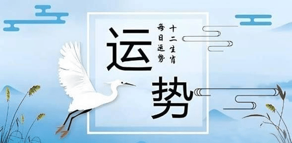 2025新澳精準資料大全，2025新澳精準資料大全手冊