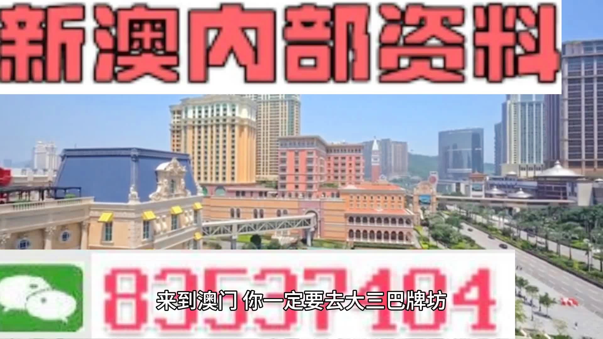 2025新澳精準資料大全，2025新澳精準資料大全手冊