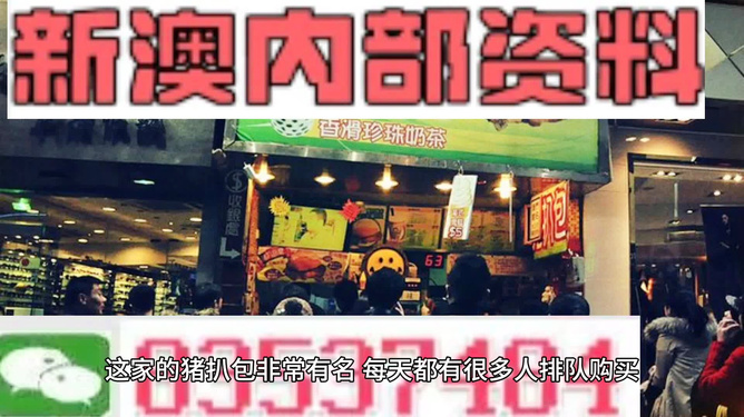 2025新澳精準(zhǔn)資料大全，2025新澳精準(zhǔn)資料大全手冊(cè)