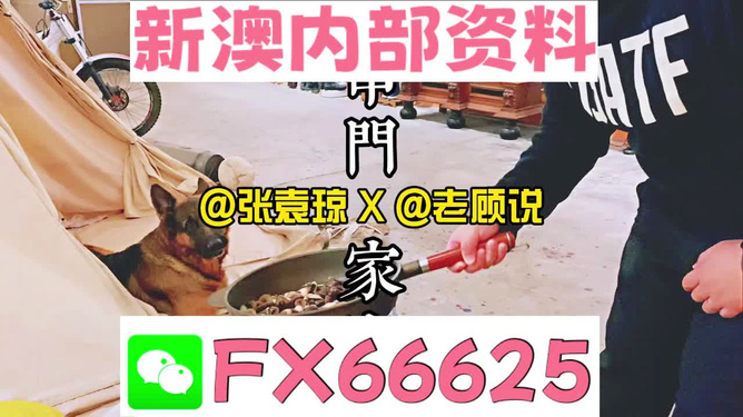 管家婆精準(zhǔn)資料免費，管家婆精準(zhǔn)資料免費公開