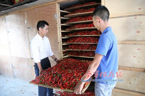 王中王王中王免費(fèi)資料大全一一，王中王資料大全全免費(fèi)獲取