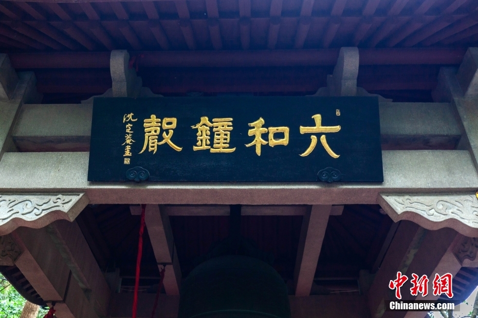 探索六和彩，資料獲取與正規(guī)網(wǎng)址導(dǎo)航，探索六和彩，資料獲取與正規(guī)網(wǎng)址導(dǎo)航指南