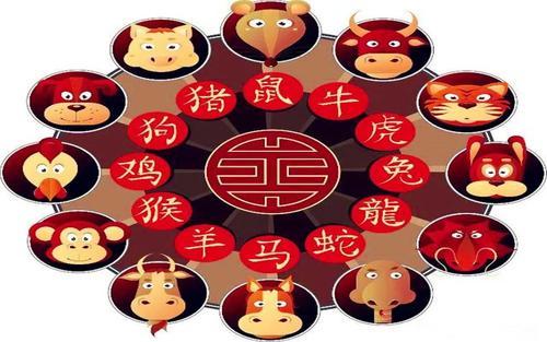澳門天天開彩大全免費十二生肖子什么？揭秘彩票背后的故事，揭秘澳門彩票背后的故事，十二生肖子與天天開彩大全免費資訊