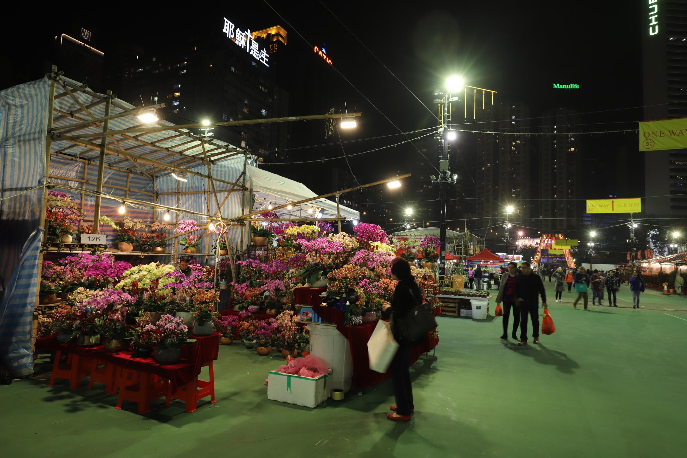 香港正版資料免費(fèi)大全生肖表2025最新版，香港正版資料免費(fèi)大全，2025最新版生肖表全解析