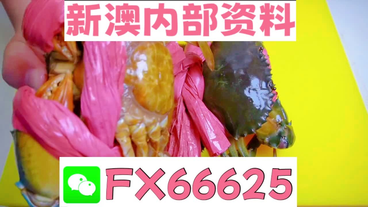 2025新澳精準資料大全解釋，2025新澳精準資料大全詳解