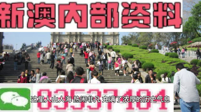 澳門最精準(zhǔn)免費資料大全旅游團，探索澳門之旅的完美指南，澳門旅游團精準(zhǔn)免費資料大全，完美指南探索澳門之旅