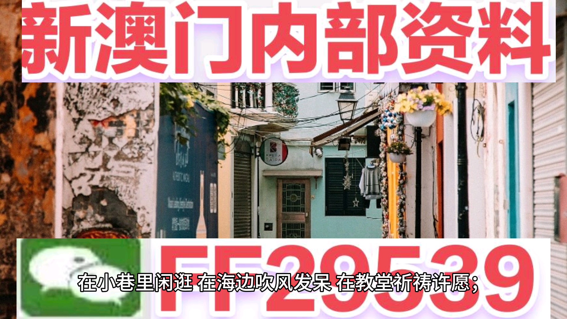新澳門今晚開獎結(jié)果及開獎熱點(diǎn)解析，澳門今晚開獎結(jié)果及熱點(diǎn)解析速遞