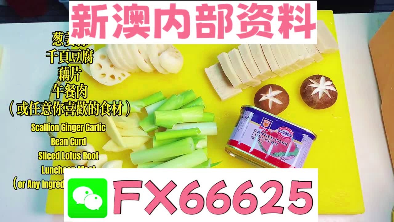『深度解析』，2025新澳精準資料大全詳解，深度解析，2025新澳精準資料大全詳解與指南