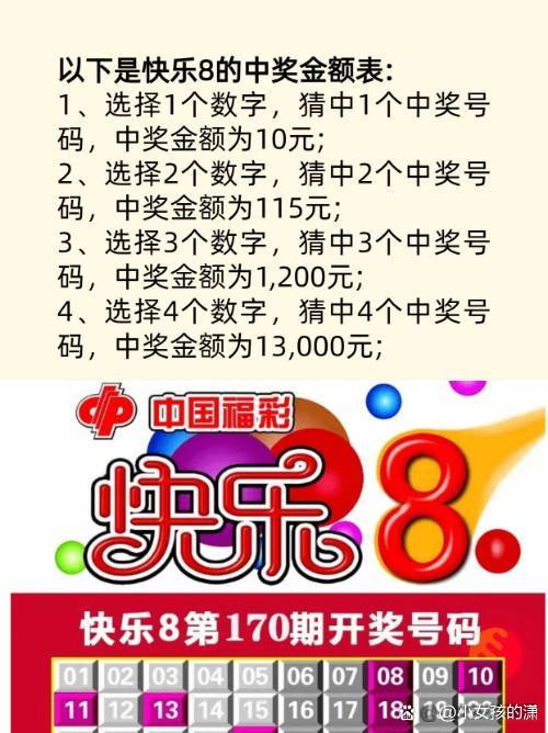 四肖八碼中大獎究竟多少錢？揭秘彩票背后的秘密！，揭秘四肖八碼彩票大獎金額，揭開彩票背后的神秘面紗！