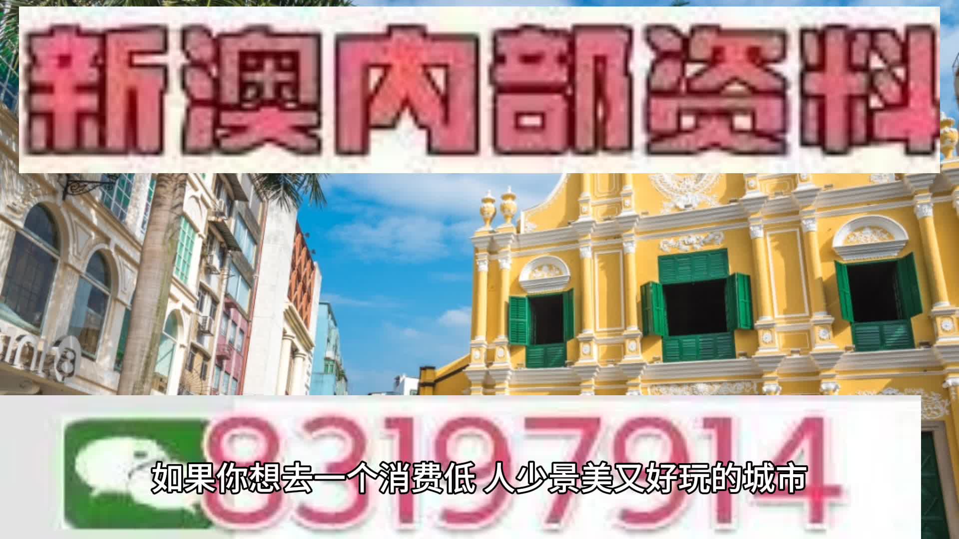 新澳2025年一肖一馬中特