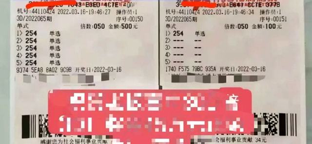 老澳門彩4949最新開獎(jiǎng)記錄，歷史、數(shù)據(jù)與趨勢(shì)分析，老澳門彩最新開獎(jiǎng)記錄及歷史數(shù)據(jù)與趨勢(shì)深度解析