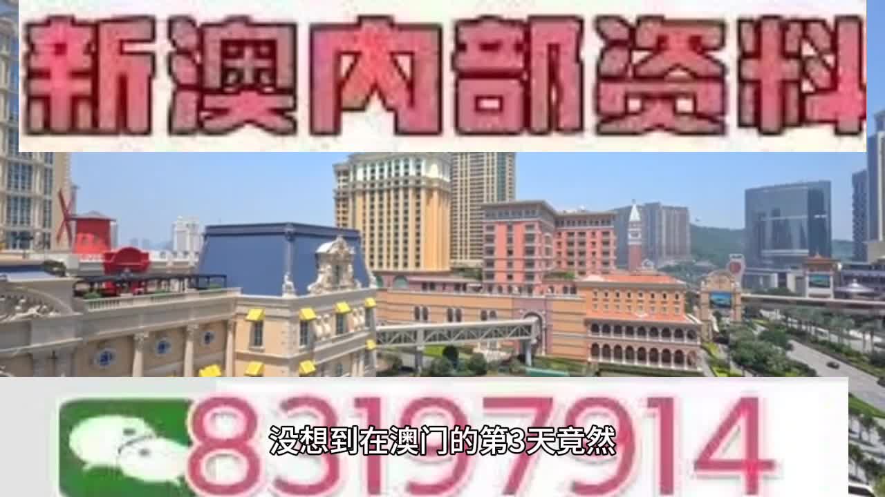 今晚澳門必開一肖一特，揭秘生肖特碼的魅力與期待，揭秘生肖特碼魅力與期待，澳門今晚必開一肖一特揭曉之夜