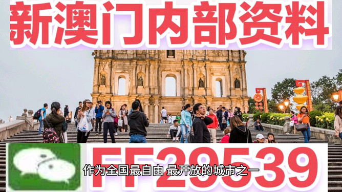 今晚上一特中馬澳門，夜里的期待與激情，澳門之夜，期待與激情的碰撞