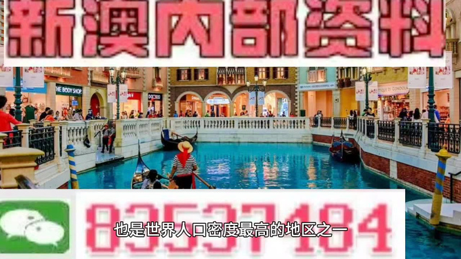 新澳門(mén)王中王2025最新，探索未來(lái)的輝煌篇章，澳門(mén)王中王2025最新動(dòng)態(tài)，未來(lái)輝煌篇章的探索