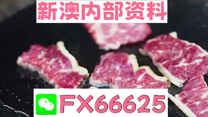 新奧精準(zhǔn)資料免費(fèi)公開，探索前沿科技，共享知識(shí)盛宴，新奧精準(zhǔn)資料免費(fèi)公開，探索前沿科技，共赴知識(shí)盛宴