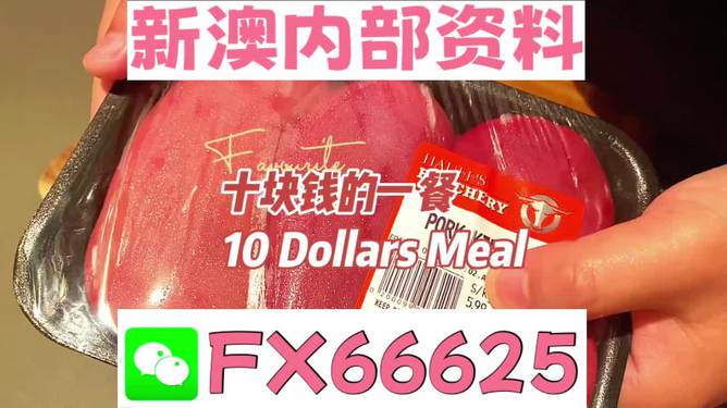 揭秘2025新澳精準(zhǔn)資料免費，一網(wǎng)打盡最新資訊，揭秘2025新澳精準(zhǔn)資料免費，一網(wǎng)打盡最新資訊內(nèi)幕