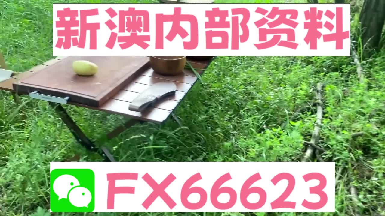 新澳精準(zhǔn)資料，期期準(zhǔn)確，助力成功之路，新澳精準(zhǔn)資料，助力成功之路的期期準(zhǔn)確指引